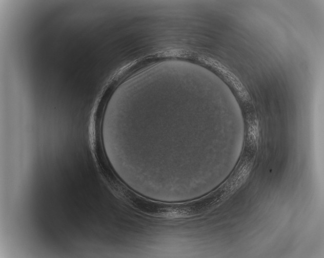 X0000102520678200809051444