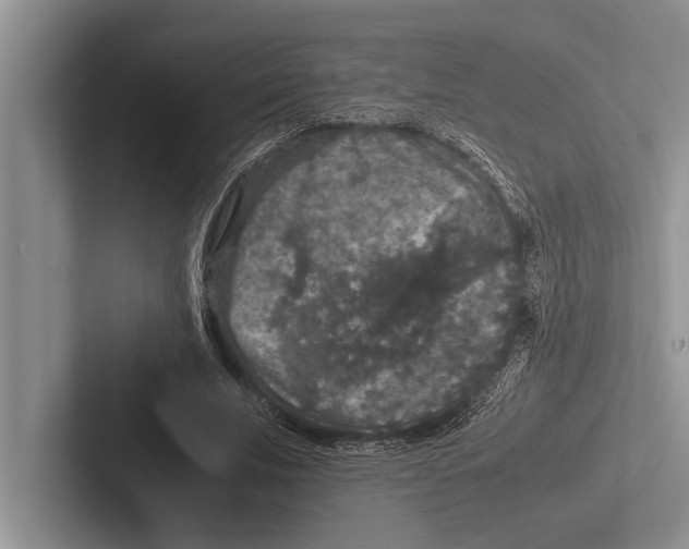 X0000102520679200809051444