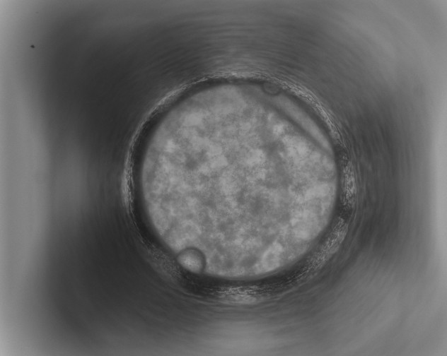 X0000102520680200809051444