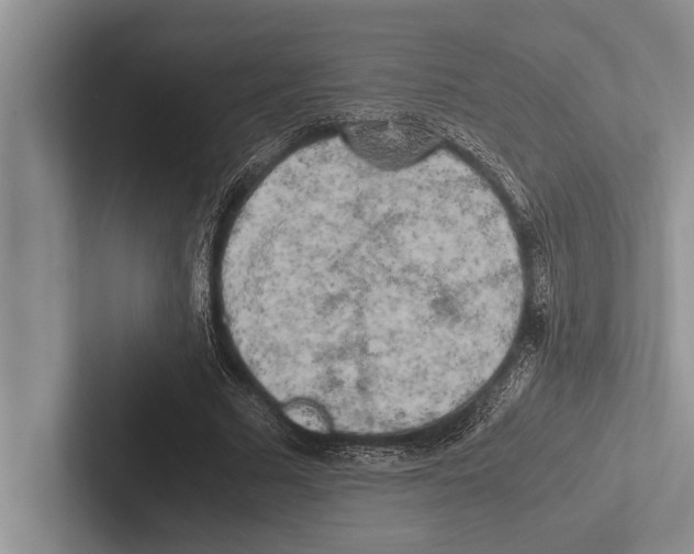 X0000102520681200809051444