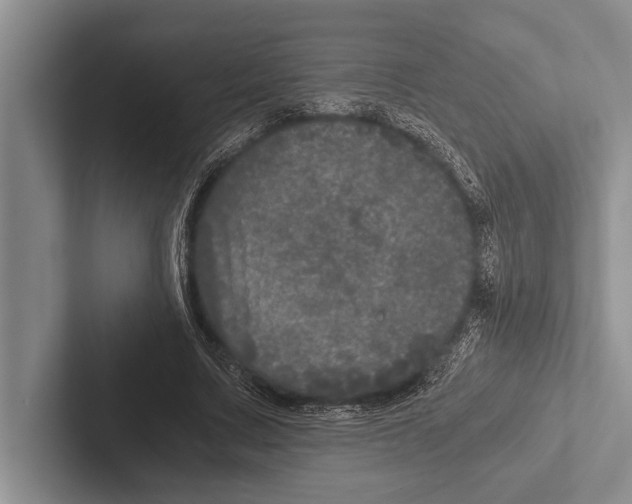 X0000102520683200809051443