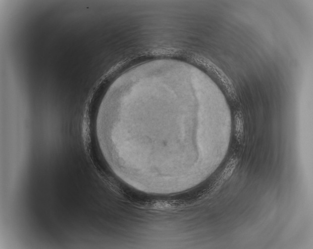 X0000102520684200809051443