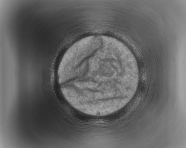 X0000102520685200809051443