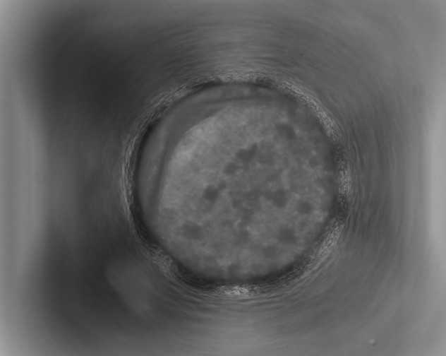 X0000102520687200809051443