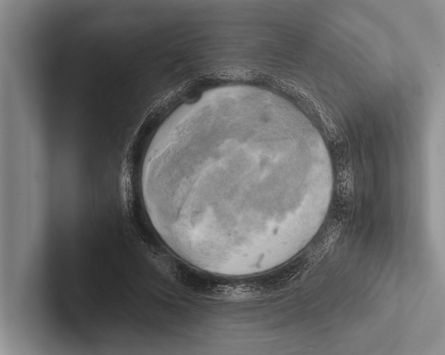 X0000102520688200809051443