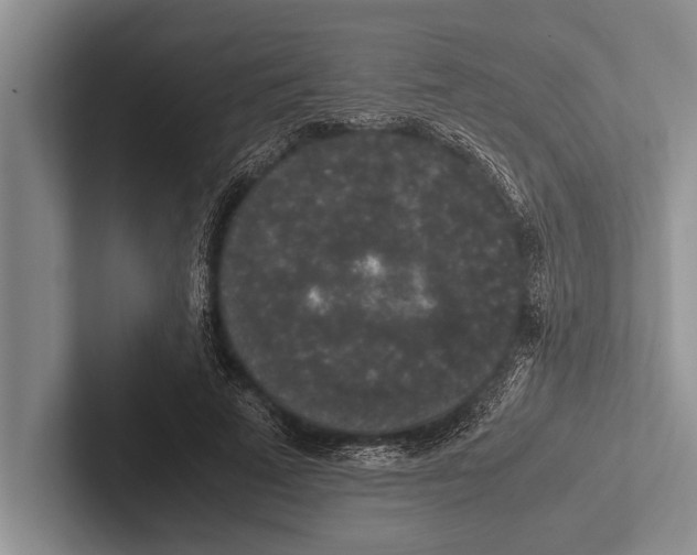 X0000102520689200809051443