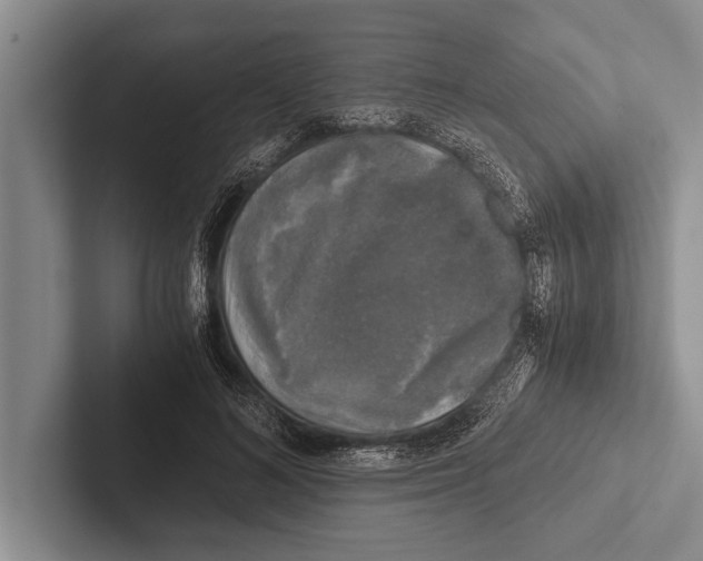 X0000102520692200809051443