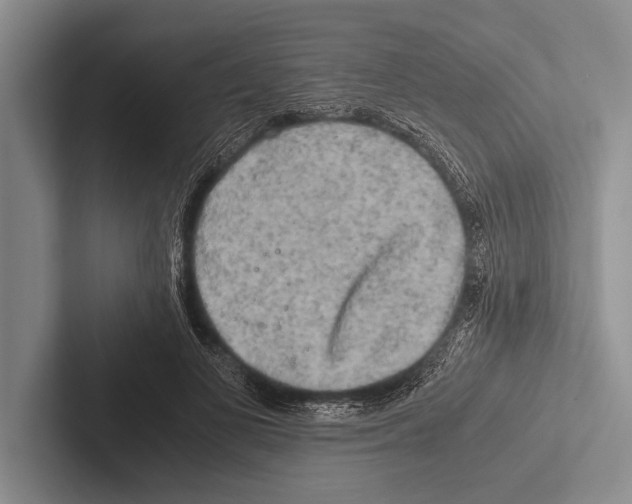 X0000102520693200809051443