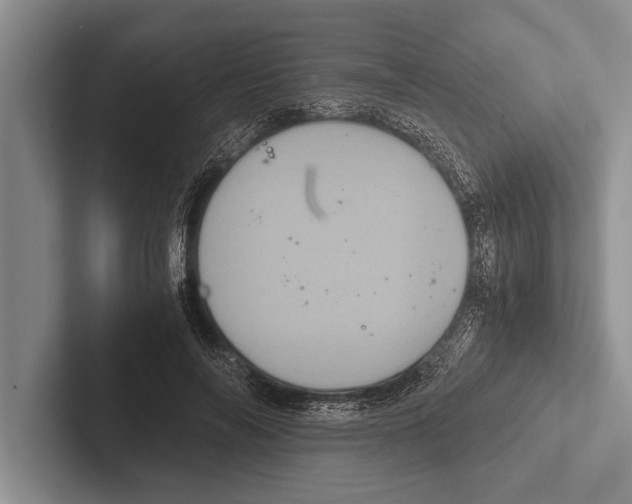 X0000102520694200809051443