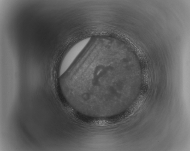 X0000102520695200809051443