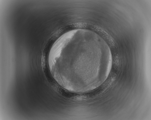 X0000102520696200809051443