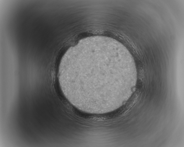 X0000102520697200809051443