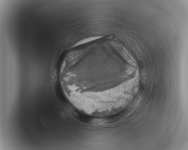 X0000102520699200809051443