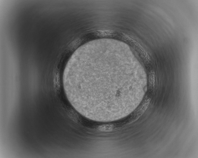 X0000102520700200809051443