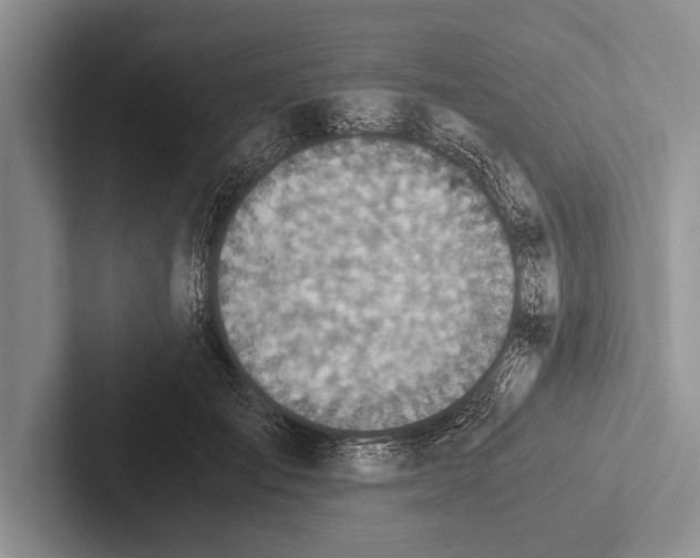 X0000102520701200809051443