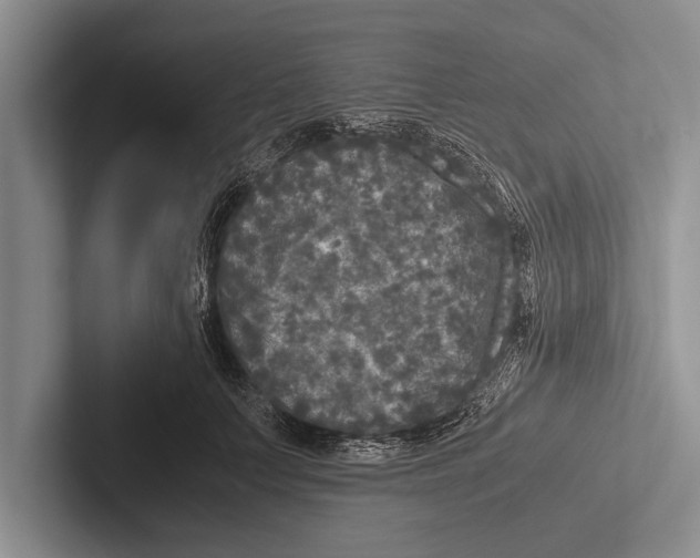 X0000102520703200809051443