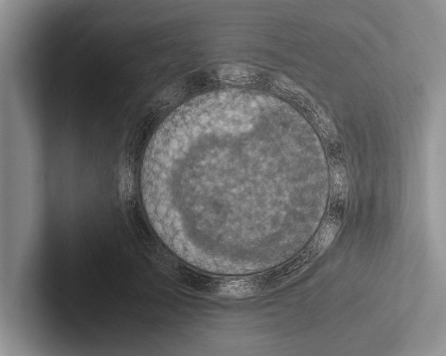 X0000102520705200809051443