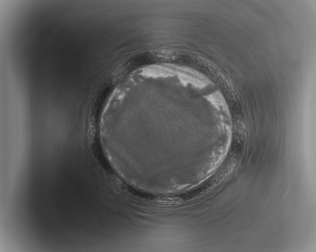 X0000102520707200809051443