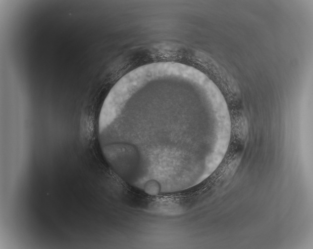 X0000102520709200809051443