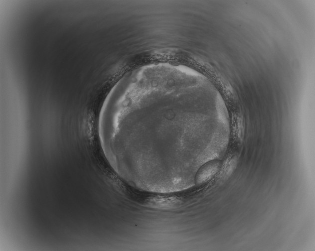 X0000102520712200809051443