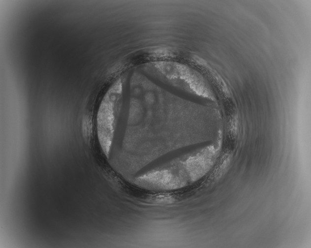 X0000102520715200809051443