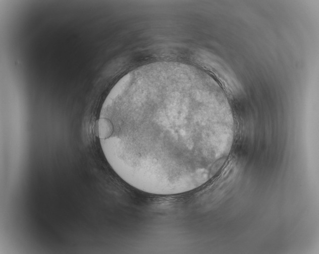 X0000102520717200809051443