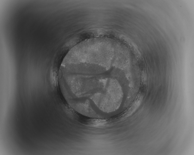 X0000102520719200809051443