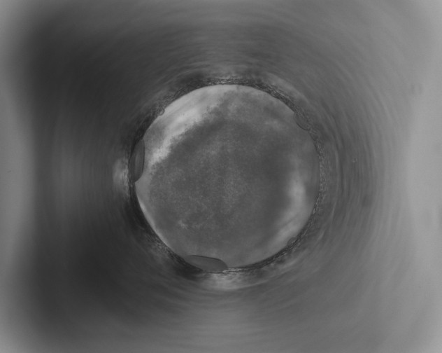 X0000102520720200809051443