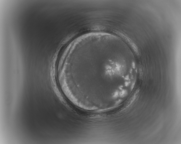 X0000102520721200809051442