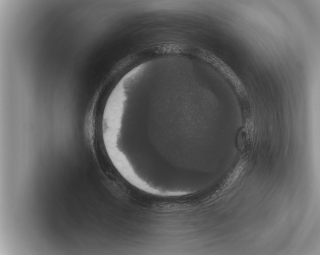 X0000102520722200809051442