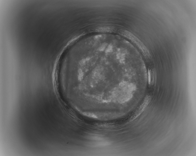 X0000102520723200809051442