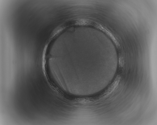 X0000102520724200809051442