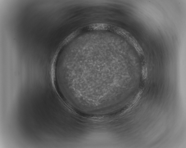 X0000102520725200809051442