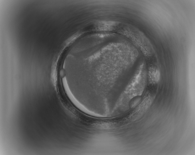 X0000102520726200809051442