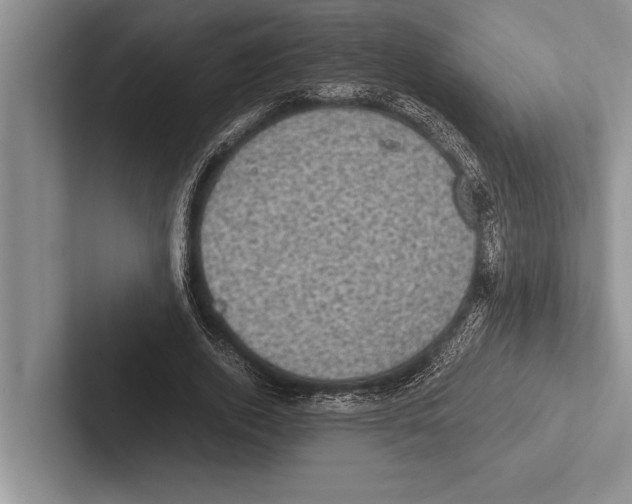 X0000102520728200809051442