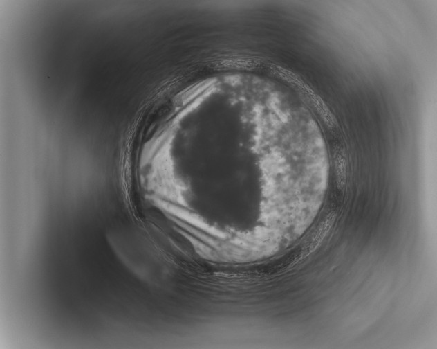 X0000102520729200809051442