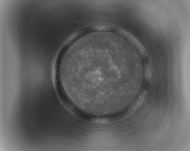 X0000102520730200809051442