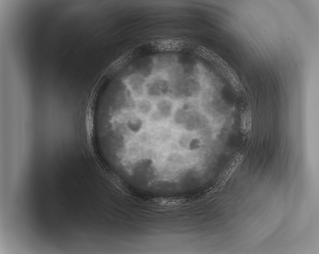 X0000102520733200809051442