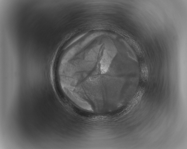 X0000102520734200809051443