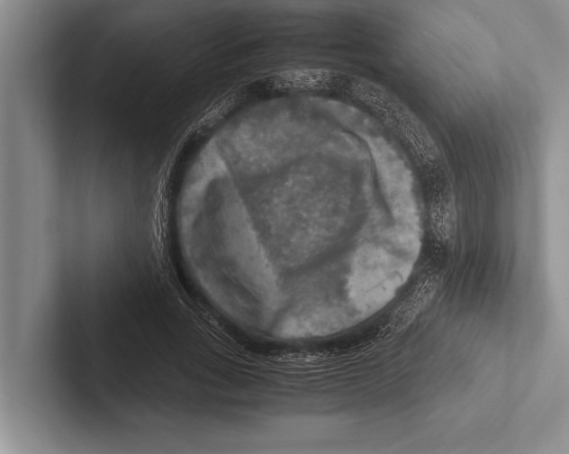 X0000102520735200809051443