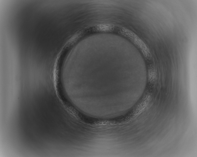 X0000102520736200809051443