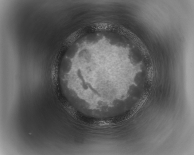 X0000102520737200809051443