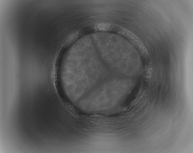 X0000102520738200809051443