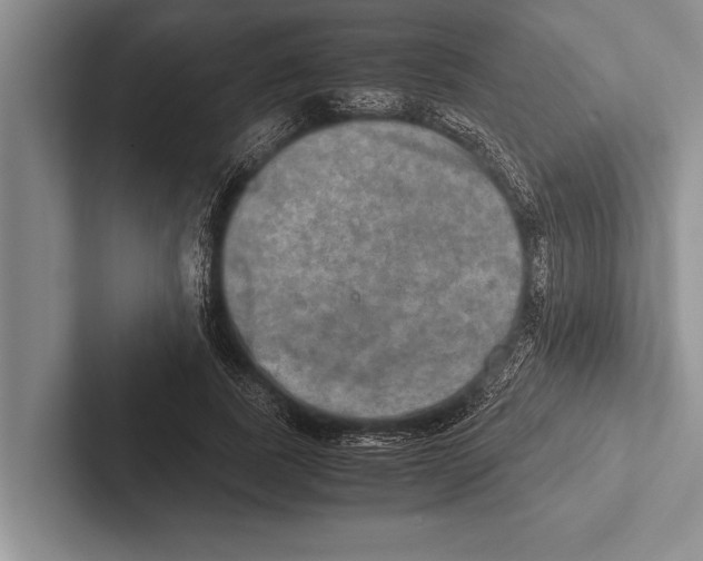 X0000102520739200809051443