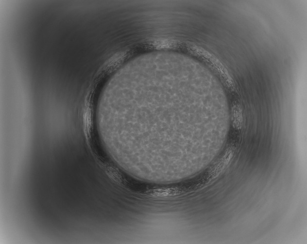 X0000102520740200809051443