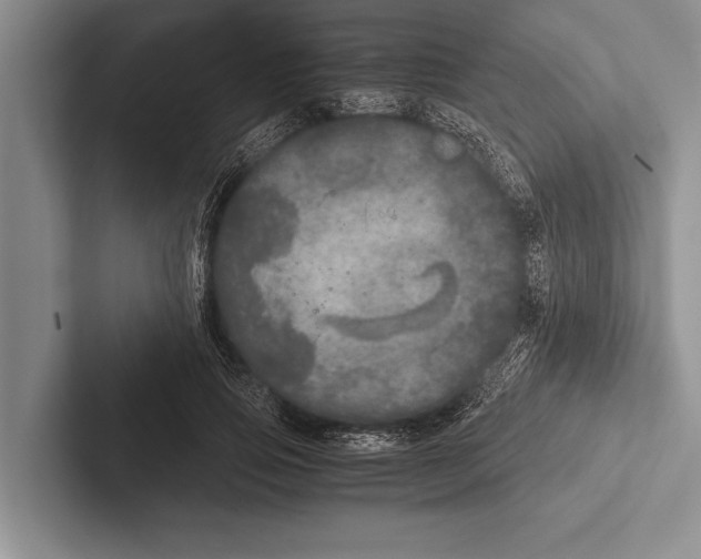 X0000102520741200809051443