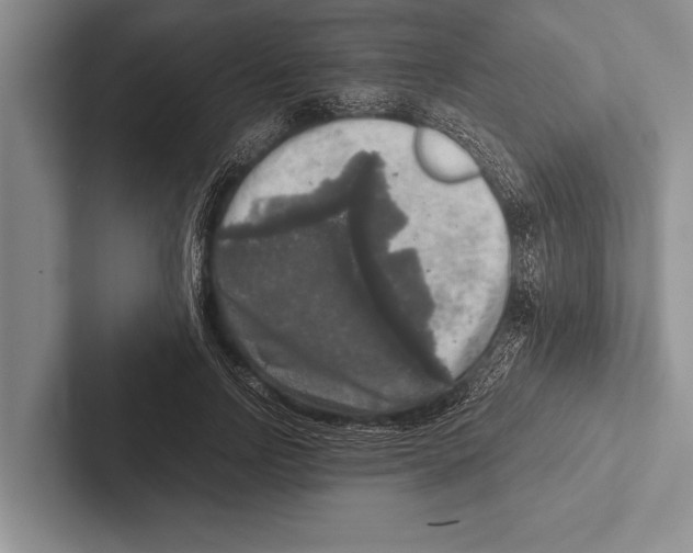 X0000102520742200809051443