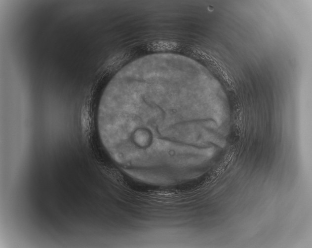 X0000102520743200809051443