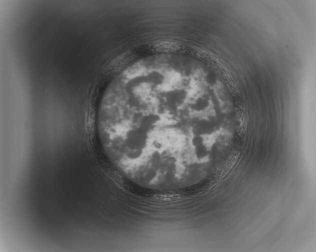 X0000102520745200809051443