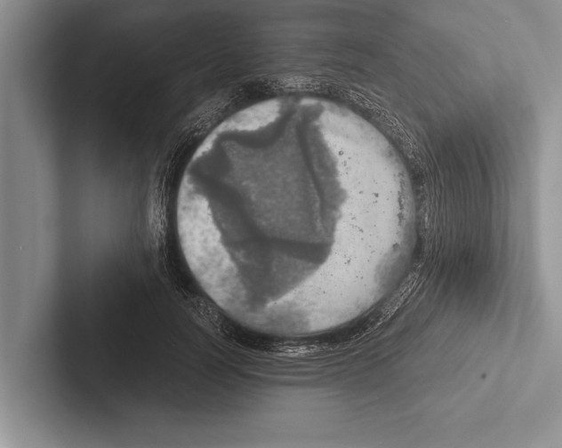 X0000102520746200809051443